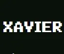 Xavier 的树洞